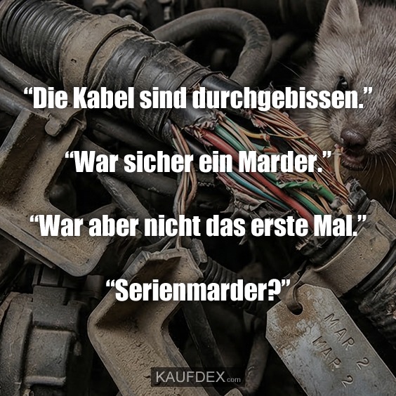 “Die Kabel sind durchgebissen.” “War sicher ein Marder.” “War aber nicht das erste Mal.” “Serienmarder?”
