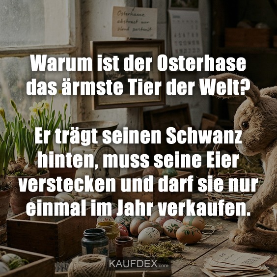 Warum ist der Osterhase das ärmste Tier der Welt? Er trägt seinen Schwanz hinten, muss seine Eier verstecken und darf sie nur einmal im Jahr verkaufen.