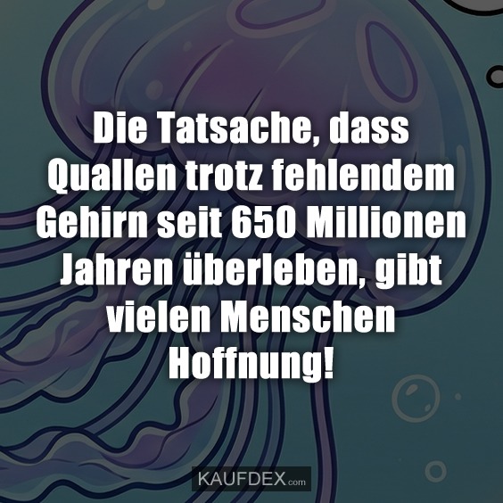 Die Tatsache, dass Quallen trotz fehlendem Gehirn seit 650 Millionen Jahren überleben, gibt vielen Menschen Hoffnung!