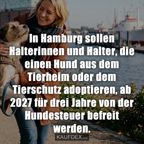 In Hamburg sollen Halterinnen und Halter, die einen Hund aus dem Tierheim oder dem Tierschutz adoptieren, ab 2027 für drei Jahre von der Hundesteuer befreit werden.
