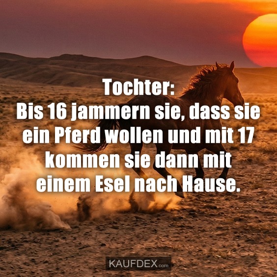 Tochter: Bis 16 jammern sie, dass sie ein Pferd wollen und mit 17 kommen sie dann mit einem Esel nach Hause.