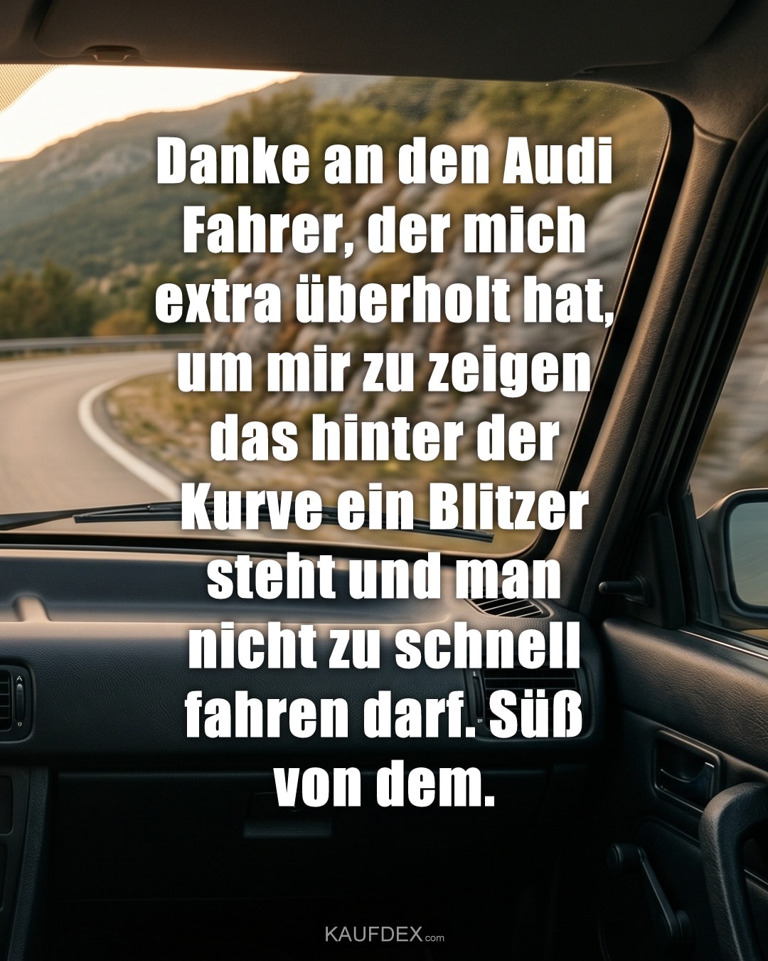 Danke an den Audi Fahrer, der mich extra überholt hat, um mir zu zeigen das hinter der Kurve ein Blitzer steht und man nicht zu schnell fahren darf. Süß von dem.
