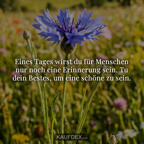 Eines Tages wirst du für Menschen nur noch eine Erinnerung sein. Tu dein Bestes, um eine schöne zu sein.