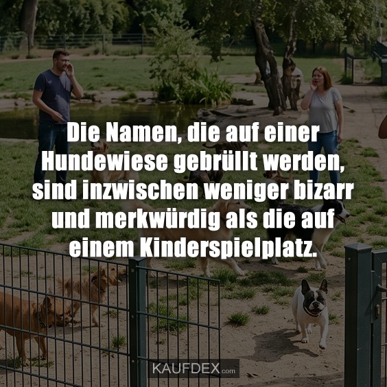 Die Namen, die auf einer Hundewiese gebrüllt werden, sind inzwischen weniger bizarr und merkwürdig als die auf einem Kinderspielplatz.