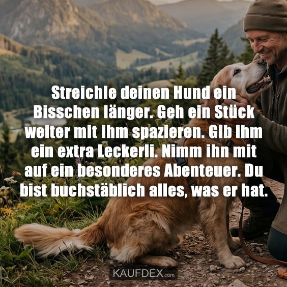 Streichle deinen Hund ein Bisschen länger. Geh ein Stück weiter mit ihm spazieren. Gib ihm ein extra Leckerli. Nimm ihn mit auf ein besonderes Abenteuer. Du bist buchstäblich alles, was er hat.
