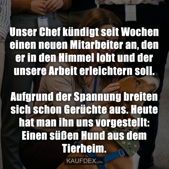Unser Chef kündigt seit Wochen einen neuen Mitarbeiter an, den er in den Himmel lobt und der unsere Arbeit erleichtern soll. Aufgrund der Spannung breiten sich schon Gerüchte aus. Heute hat man ihn uns vorgestellt: Einen süßen Hund aus dem Tierheim.