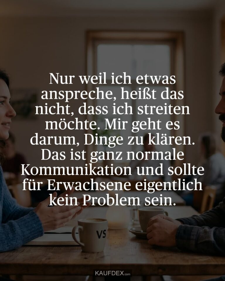 Nur weil ich etwas anspreche, heißt das nicht, dass ich streiten möchte. Mir geht es darum, Dinge zu klären. Das ist ganz normale Kommunikation und sollte für Erwachsene eigentlich kein Problem sein.