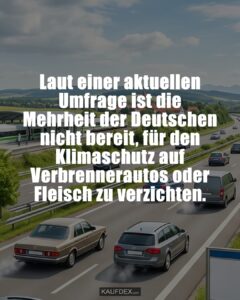 Laut einer aktuellen Umfrage ist die Mehrheit der Deutschen nicht bereit, für den Klimaschutz auf Verbrennerautos oder Fleisch zu verzichten.