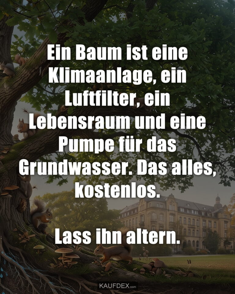 Ein Baum ist eine Klimaanlage, ein Luftfilter, ein Lebensraum und eine Pumpe für das Grundwasser. Das alles, kostenlos. Lass ihn altern.