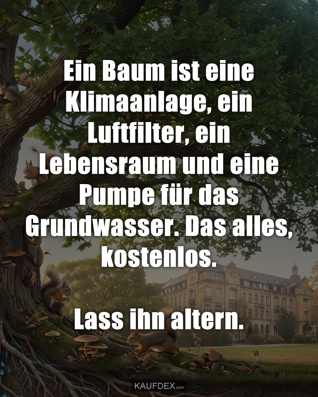Ein Baum ist eine Klimaanlage, ein Luftfilter, ein Lebensraum und eine Pumpe für das Grundwasser. Das alles, kostenlos. Lass ihn altern.