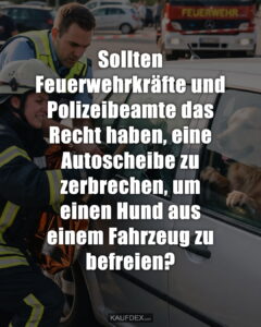 Sollten Feuerwehrkräfte und Polizeibeamte das Recht haben, eine Autoscheibe zu zerbrechen, um einen Hund aus einem Fahrzeug zu befreien?