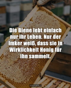 Die Biene lebt einfach nur ihr Leben. Nur der Imker weiß, dass sie in Wirklichkeit Honig für ihn sammelt.